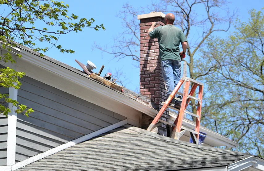 Chimney & Fireplace Inspections Services in Davenport, IA